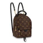 Louis Vuitton Palm Springs Mini Bagpack