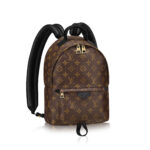 Palm Springs Backpack PM Monogram Canvas0