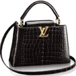 Louis Vuitton Capucines Mini Crocodile Bag Black