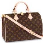 Louis Vuitton Speedy Bandouliere Monogram