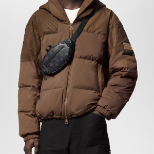 Louis Vuitton Catch Bumbag